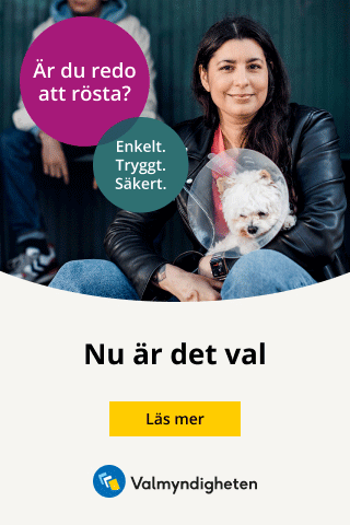 Bannerannons som visar kvinna med hund i busskur. På väg att rösta.